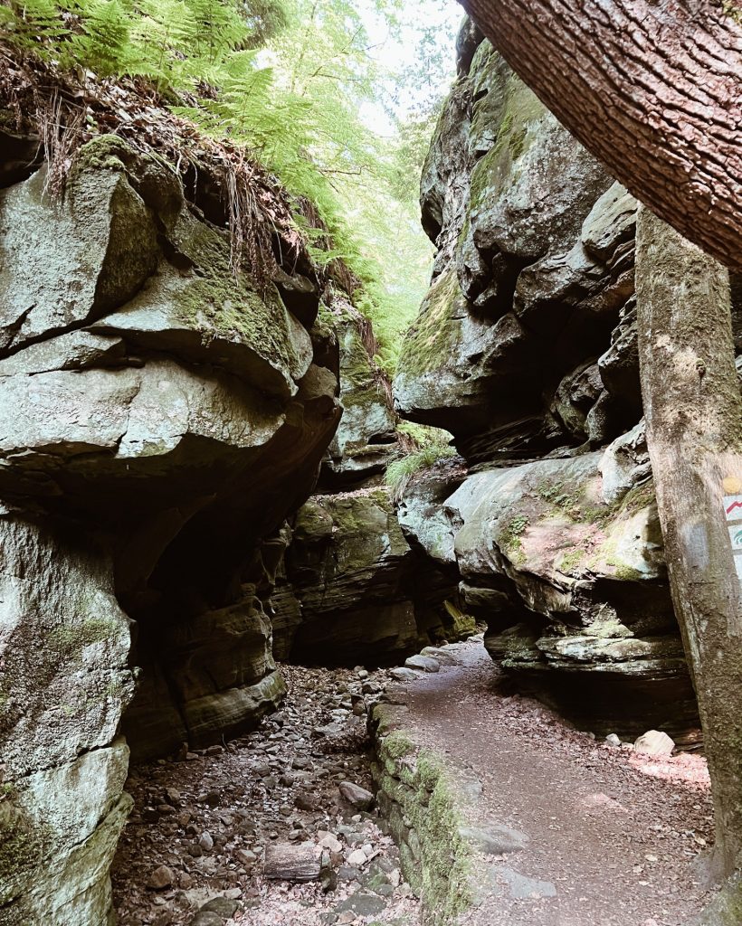 Felsen, Wald und kleine Höhlen rund um Berdorf