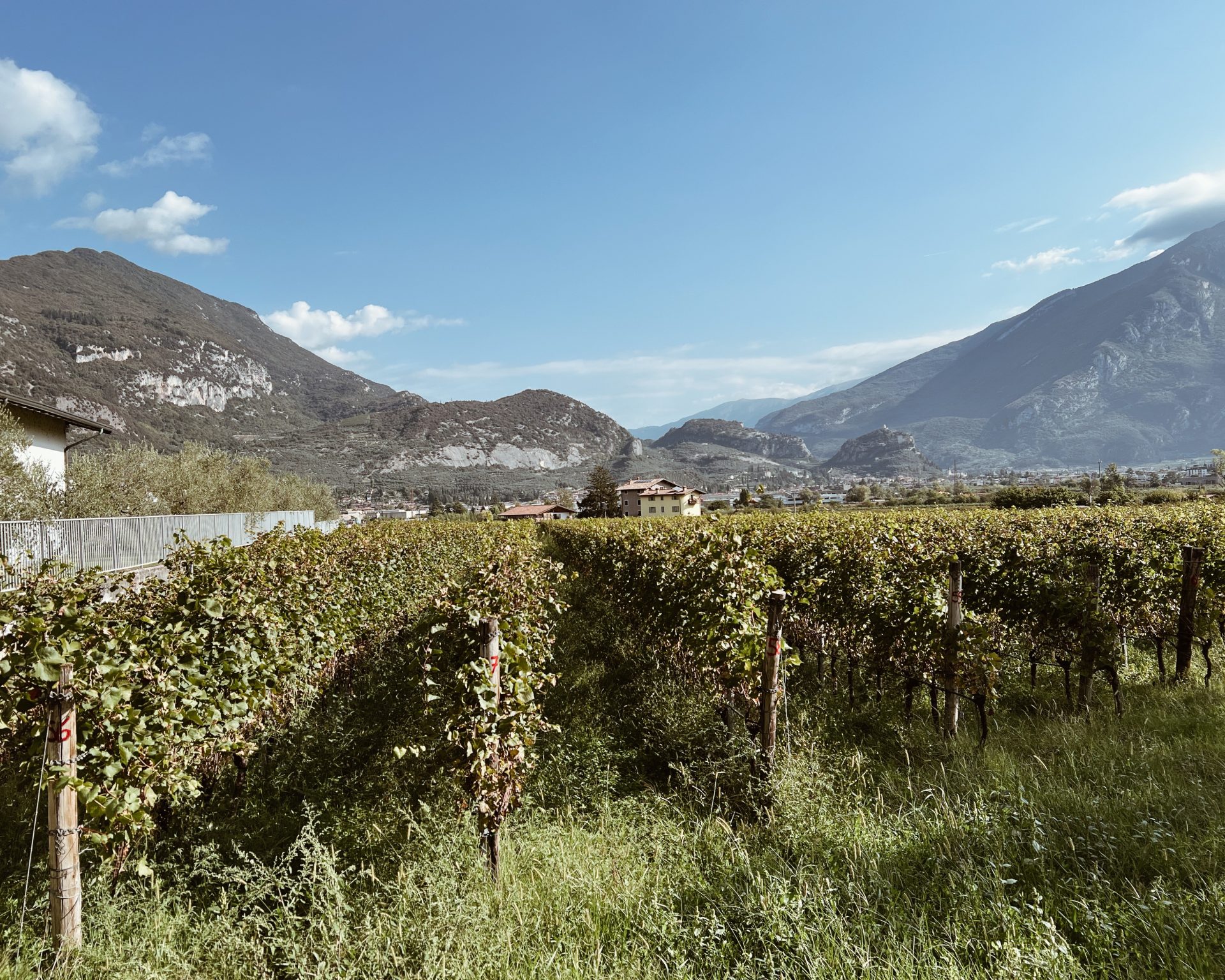 Weinanbaugebiete bei Arco